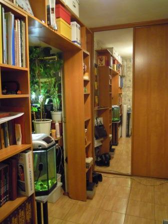 ����� � ��������