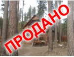 27 соток, корабельные сосны
