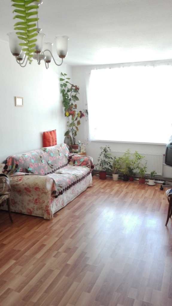 ������� ������� �����