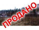 10 соток под ИЖС в сосновом лесу всего за 950 000 руб.!