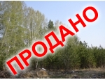 Уктусский лесопарк, за базой Динамо