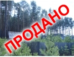 с двух сторон окружен мачтовыми соснами