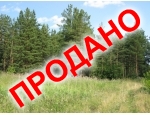 В Верхней Сысерти, у леса!!!