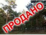 15 соток, сосны на участке, на границе Уктусского лесопарка