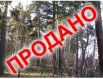 В окружении леса, сосны на участке, рядом с жилыми коттеджами